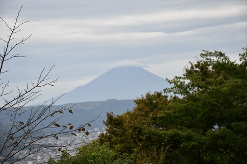 遠くに富士山が見えた.jpg