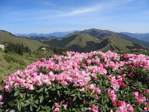 1ﾒｲﾝ_合歓山東峰から北峰を臨む_8384.JPG