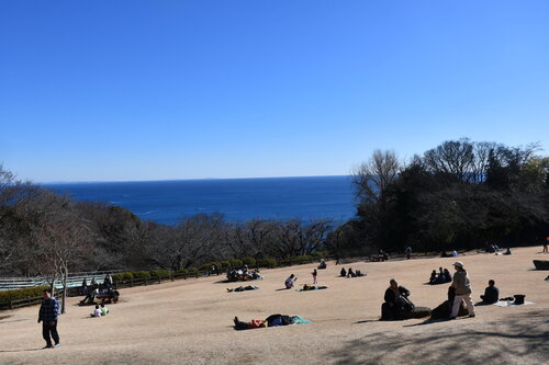 広々とした吾妻山の山頂付近.jpg