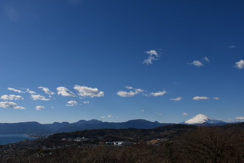 積雲が青空に浮かぶ.jpg