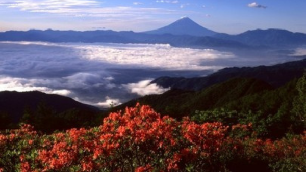 現地集合解散登山ツアー