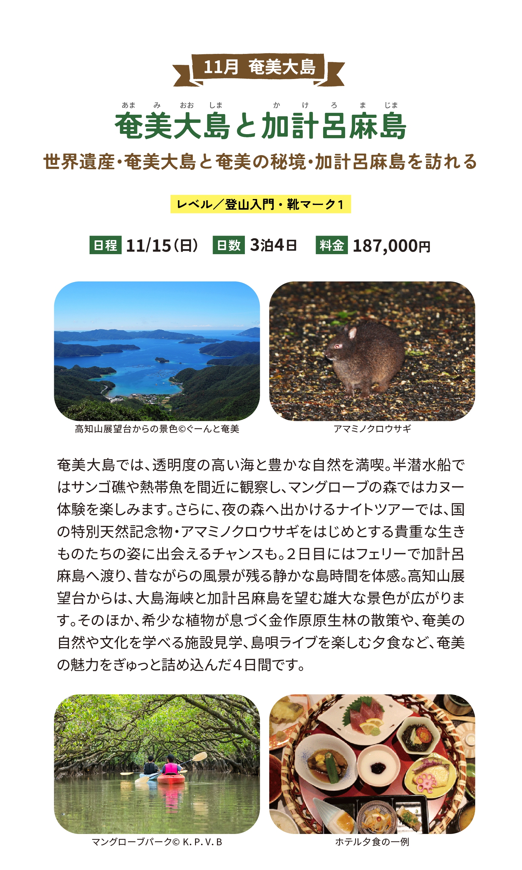 奄美大島と加計呂麻島　世界遺産・奄美大島と奄美の秘境・加計呂麻島を訪れる