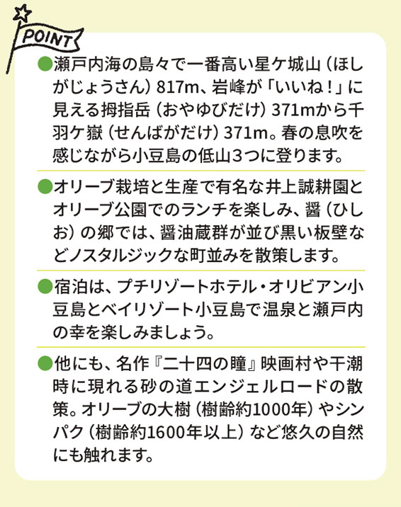 春らん漫の小豆島オリーブとひしおと3つの低山