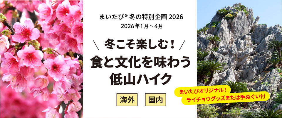 冬こそ楽しむ！食と文化を味わう低山ハイク